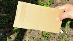 Chwasty już nie odrosną: sposób z kartonem, który zamienia je w nawóz