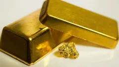 Kopał basen, a znalazł złoto: jak skarb wart 800 000 dolarów przez lata czekał pod ziemią?